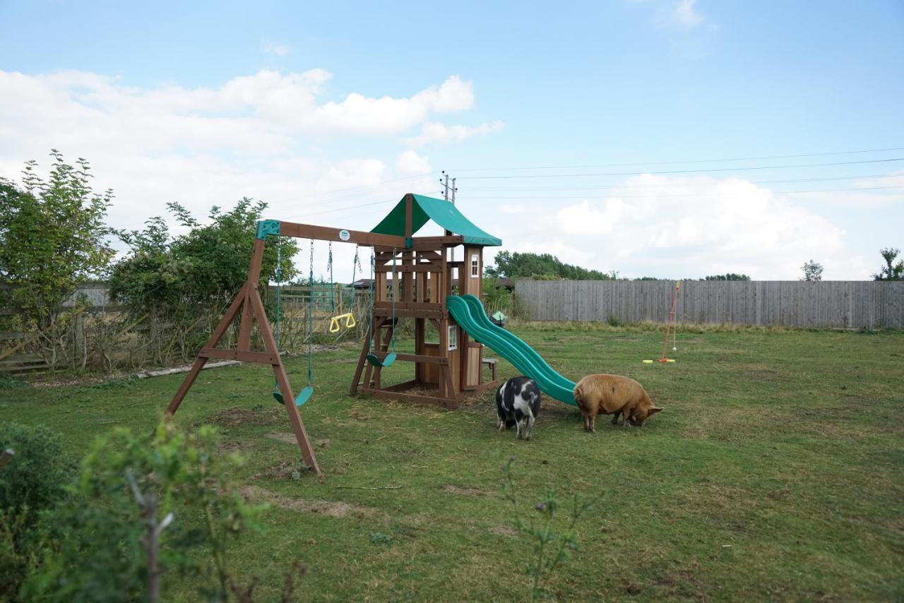 Alpaca Lodge Sittingbourne Exteriér fotografie